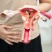 woman holding an anatomical model of the female human reproductive system
